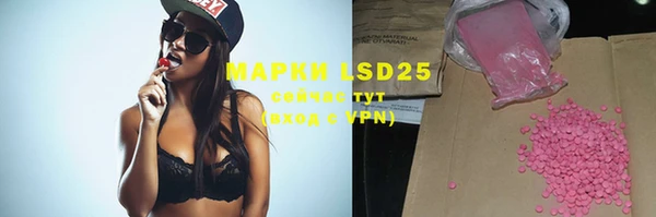 прущие грибы Белоозёрский