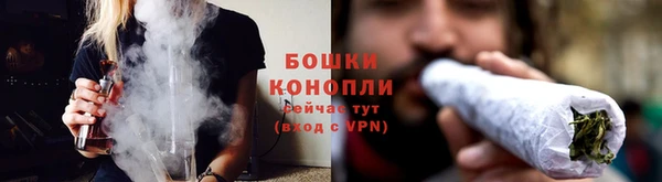 кокс Белокуриха