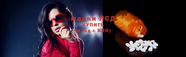 прущие грибы Белоозёрский