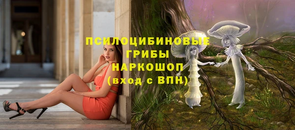 кокс Белокуриха