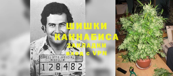прущие грибы Белоозёрский