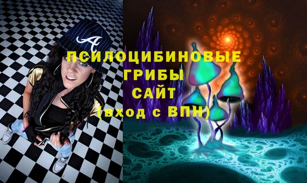 прущие грибы Белоозёрский