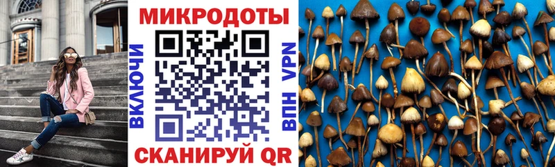 Псилоцибиновые грибы Magic Shrooms  Топки 